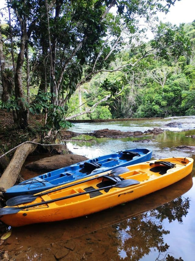 Un kayak giallo e uno blu con pagaie sono ormeggiati sulla riva di un fiume accanto a una giungla lussureggiante.