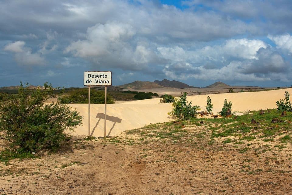 Un letrero del Deserto de Viana se alza al borde de un paisaje arenoso con dunas y montañas distantes bajo un cielo nublado.