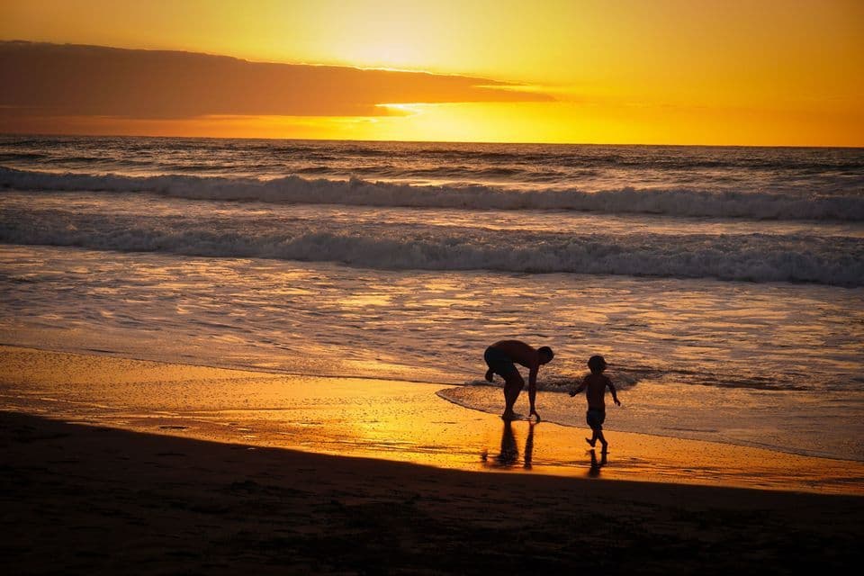 Un adulto y un niño silueteados en una playa, jugando en el agua poco profunda durante un atardecer dorado.