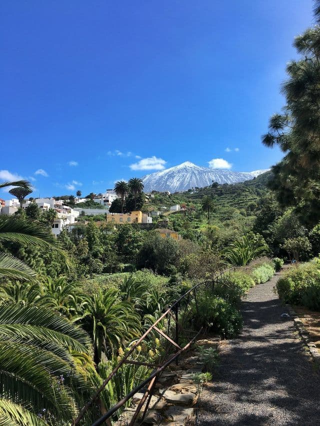 Una veduta da un sentiero sterrato di un borgo su una lussureggiante collina verde con una maestosa montagna innevata sullo sfondo.