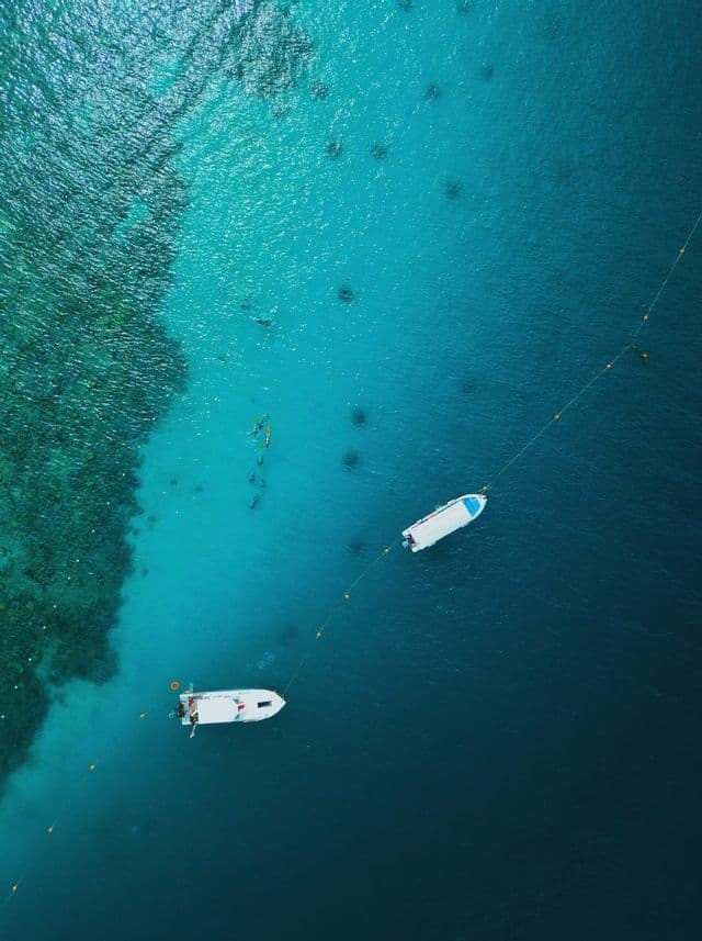 Vue aérienne de deux bateaux blancs amarrés dans une eau turquoise, avec plusieurs personnes faisant de la plongée avec tuba à proximité au-dessus d'un récif corallien.