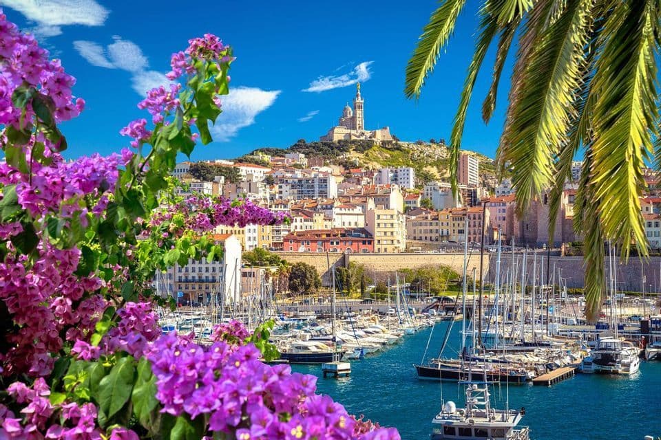 Un porto turistico pieno di barche ormeggiate si trova di fronte a una città collinare, incorniciato da fiori di buganvillea viola e una fronda di palma.