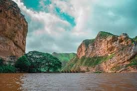 Un grande albero verde si erge sulla riva di un fiume marrone che scorre attraverso un canyon roccioso sotto un cielo nuvoloso e turchese.