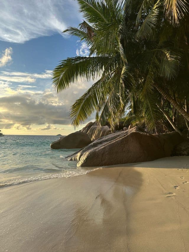 Onde delicate si infrangono su una spiaggia sabbiosa con grandi massi e palme a strapiombo sotto un cielo nuvoloso al tramonto.
