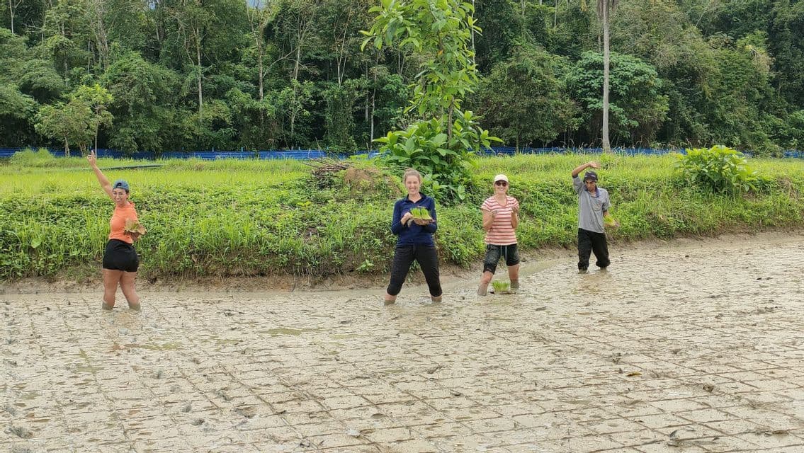 Un voyage de groupe WeRoad de quatre personnes posant avec de jeunes plants de riz dans une rizière boueuse, avec une forêt en arrière-plan.