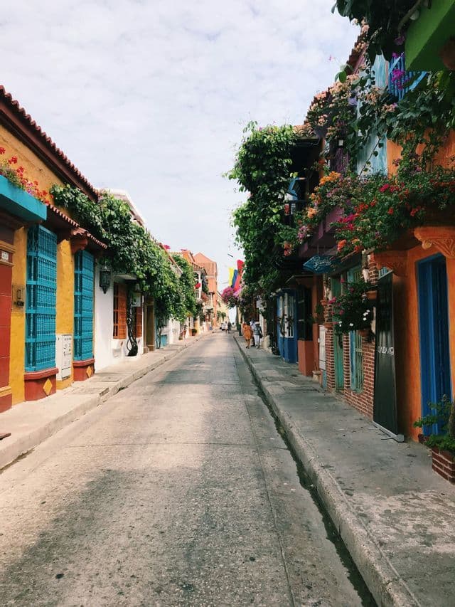 Una vista su una strada stretta affiancata da edifici colorati con balconi stracolmi di piante verdi e fiori.