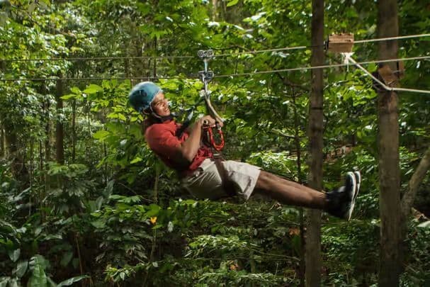 Una persona con un casco blu e una maglietta rossa sorride mentre fa zipline attraverso una giungla verde lussureggiante su un cavo d'acciaio.