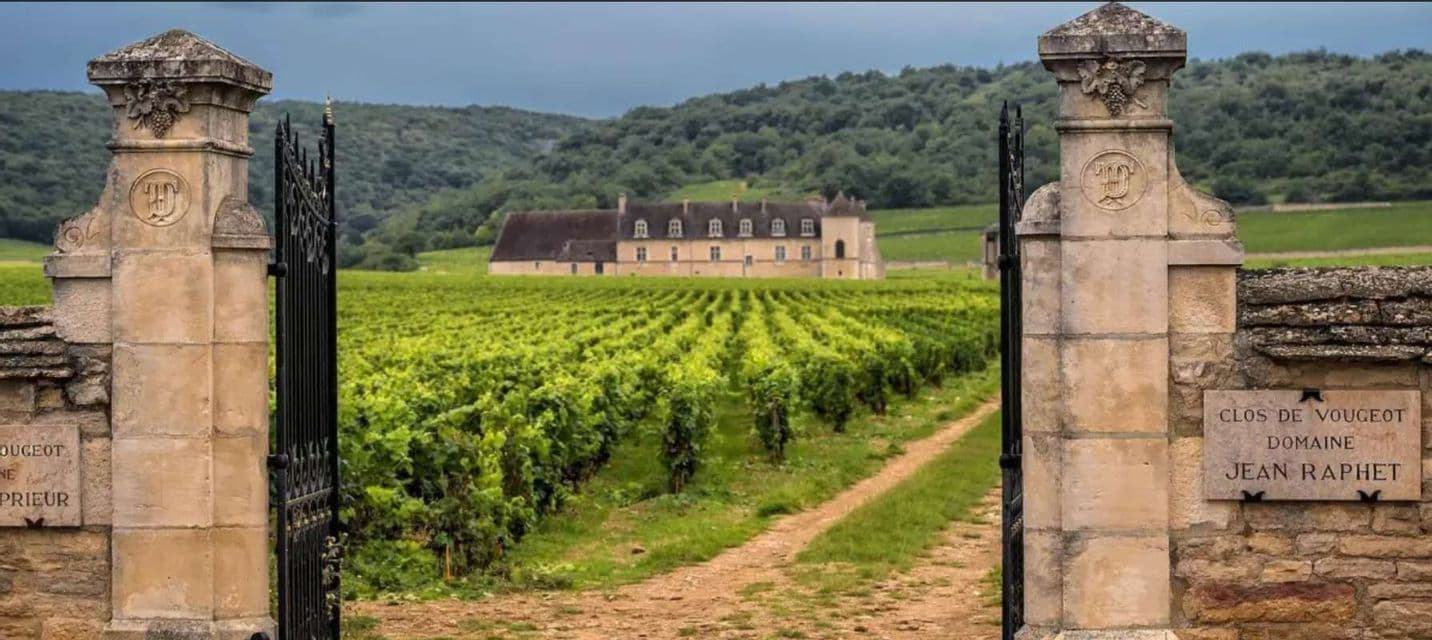 A view through ornate stone gateposts of a vineyard leading to a distant château at the base of green hills.