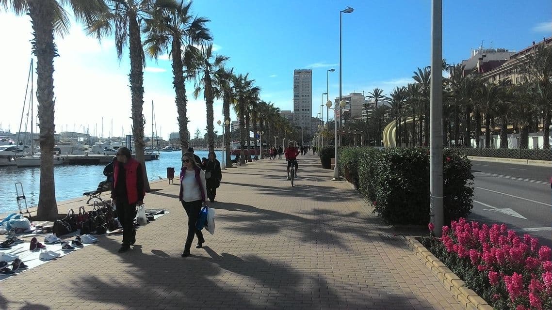 Persone che camminano e vanno in bicicletta su un lungomare soleggiato, fiancheggiato da palme, accanto a un porto turistico pieno di barche.