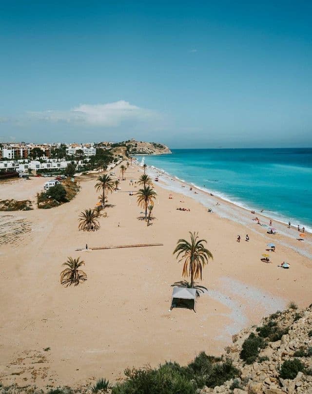 Una vista aerea di una lunga spiaggia sabbiosa con palme e persone accanto all'oceano turchese, con una città costiera sullo sfondo.