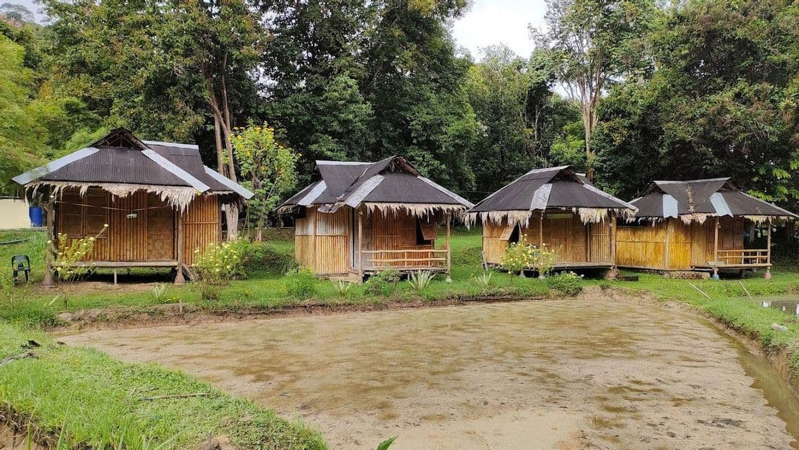 Quatre cabanes rustiques en bambou aux toits de chaume sont alignées au bord d'un champ boueux, adossées à une forêt luxuriante.