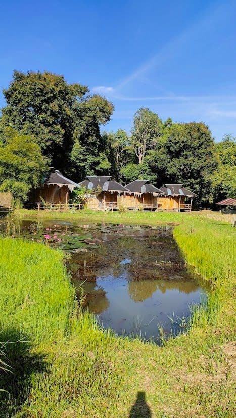 Une rangée de bungalows en bambou aux toits de chaume se trouve au bord d'un étang rempli de nénuphars, adossée à une forêt luxuriante.