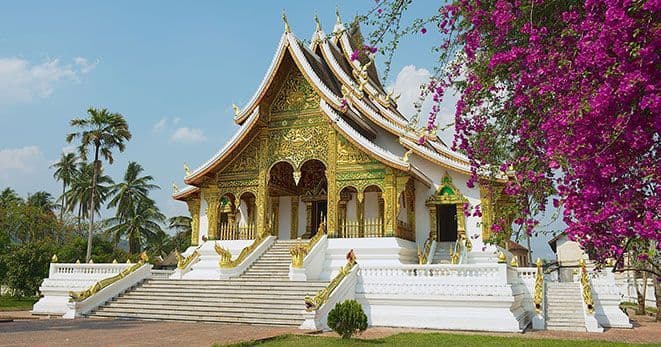 Un tempio sfarzoso bianco e oro con una grande scalinata è incorniciato da palme e una vivace bougainvillea magenta.
