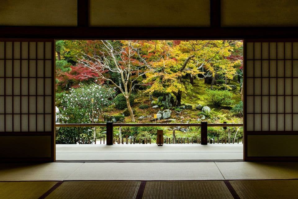 Una vista su un giardino giapponese con fogliame autunnale colorato, visto dall'interno di una stanza tradizionale con tatami e porte shoji aperte.