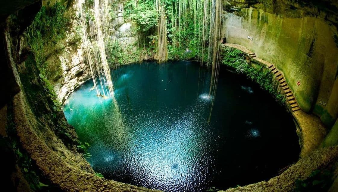 Vista dall'alto di un grande cenote circolare con acqua blu profonda, circondato da pareti rocciose muschiose e lunghe liane pendenti.