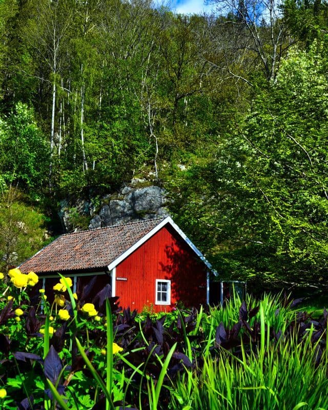 A small red wooden cabin sits in a lush green forest, with yellow flowers and dark purple plants in the foreground.