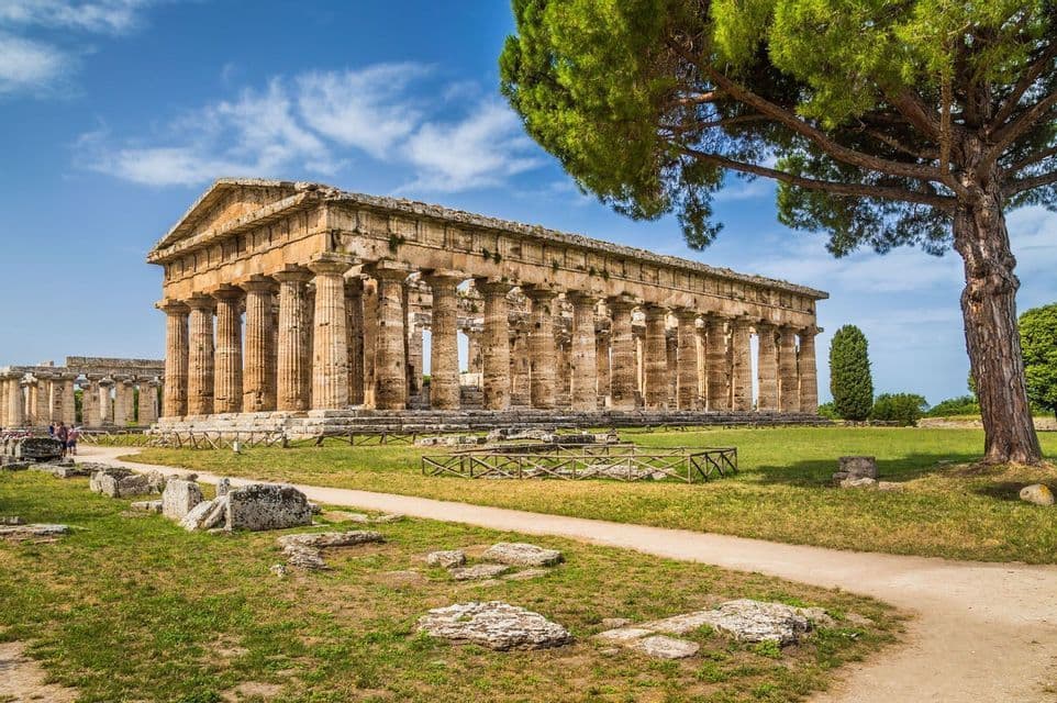 Un ancien temple grec avec de grandes colonnes se dresse dans un champ herbeux à côté d'un grand pin sous un ciel bleu.