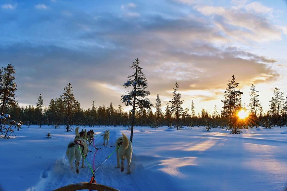Una squadra di husky trascina una slitta lungo un sentiero forestale coperto di neve verso il sole che tramonta.