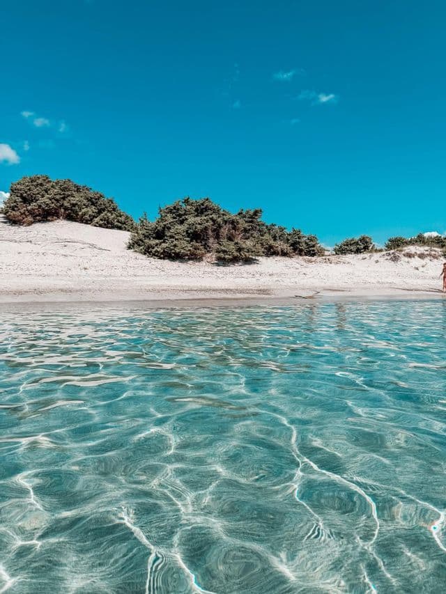 Sunlight ripples across clear turquoise water in front of a white sand dune with green bushes under a blue sky.