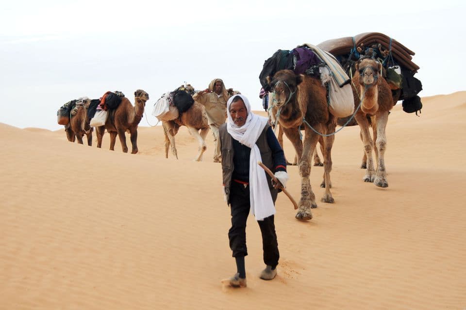 Ein Mann mit einem weißen Schal führt eine Kamelkarawane, die Vorräte über sanfte Sanddünen in der Wüste transportiert.