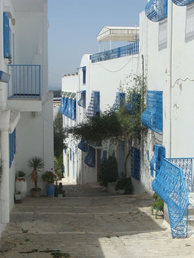 Eine schmale Kopfsteinpflasterstraße schlängelt sich zwischen weiß getünchten Gebäuden mit leuchtend blauen Geländern, Balkonen und Fenstergittern.