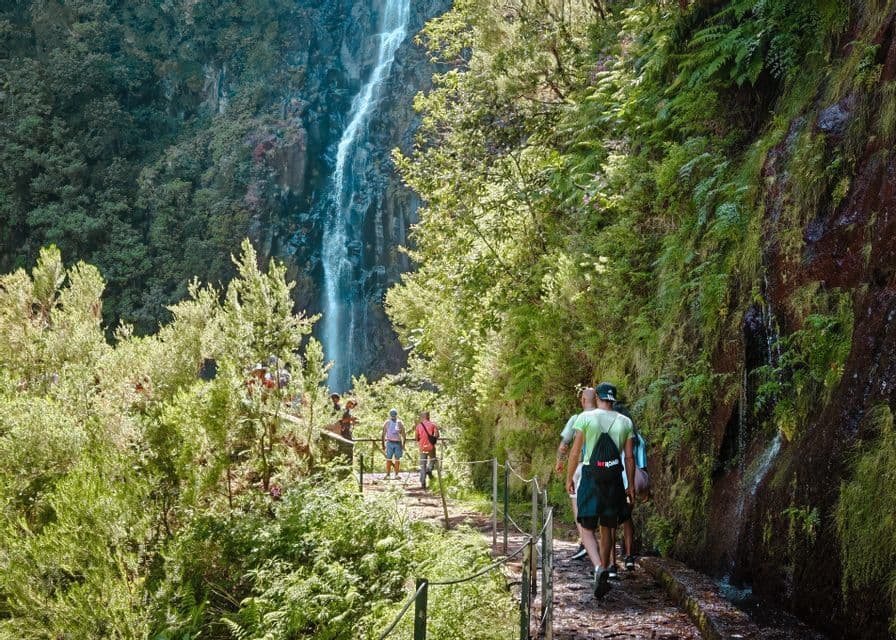 Un viaggio di gruppo WeRoad percorre uno stretto sentiero di pietra attraverso una foresta lussureggiante, con un'alta cascata visibile sullo sfondo.