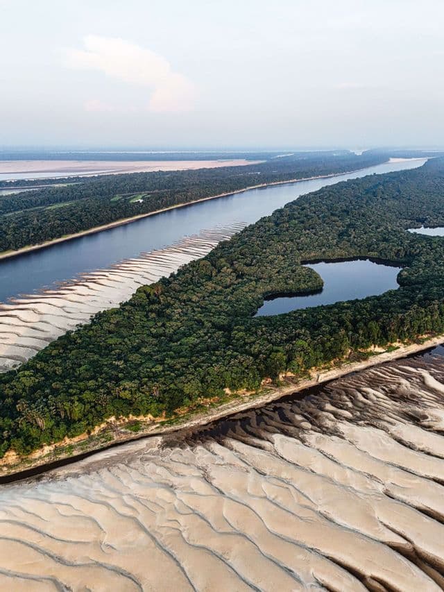 Vista aerea di un ampio fiume che scorre attraverso una giungla fitta, con grandi banchi di sabbia e un lago a forma di cuore su un'isola boscosa.