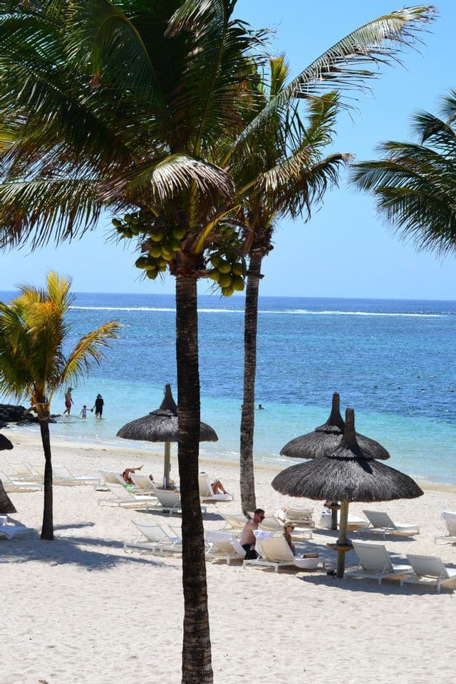 Alte palme da cocco su una spiaggia di sabbia bianca, con persone che si rilassano sui lettini e nuotano nell'oceano.