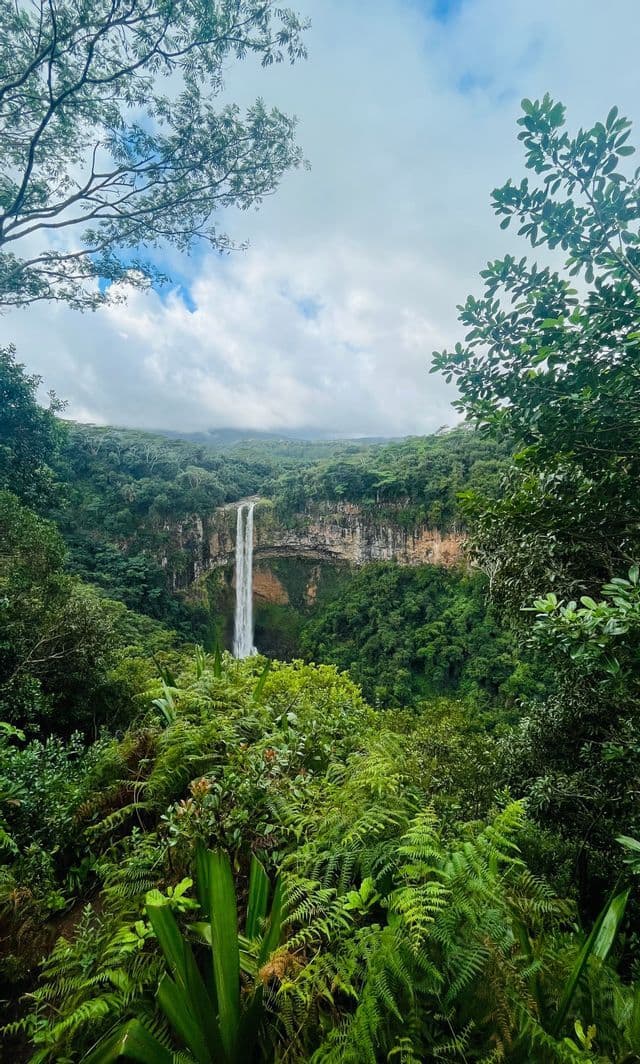 Una cascata imponente scende a picco da una parete rocciosa in una giungla fitta, con felci e alberi lussureggianti in primo piano.