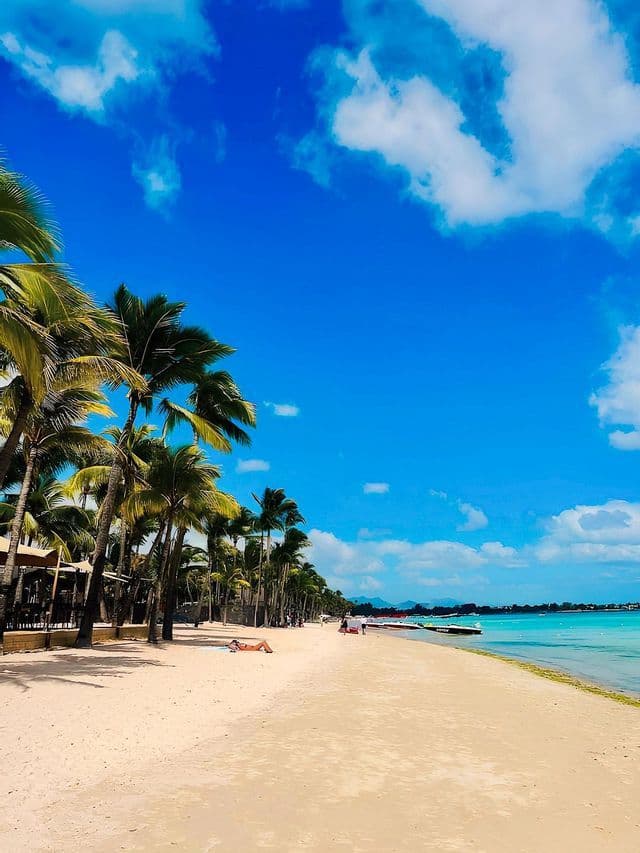 Una spiaggia sabbiosa costeggiata da alte palme, che si affaccia su acque turchesi e calme sotto un cielo azzurro splendente con nuvole.