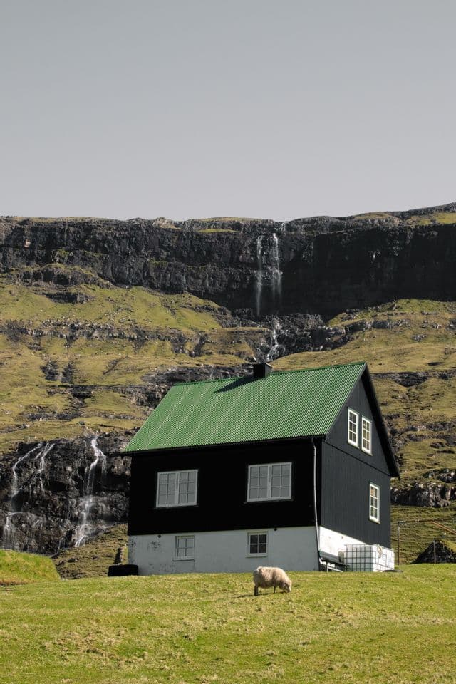 Una pecora pascola su una collina erbosa davanti a una casa nera con un tetto verde, posta contro una scogliera rocciosa con cascate.