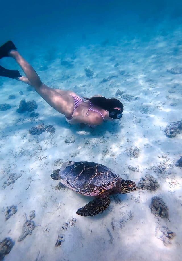 Una persona con maschera e pinne nuota sott'acqua accanto a una tartaruga marina su un fondale sabbioso.
