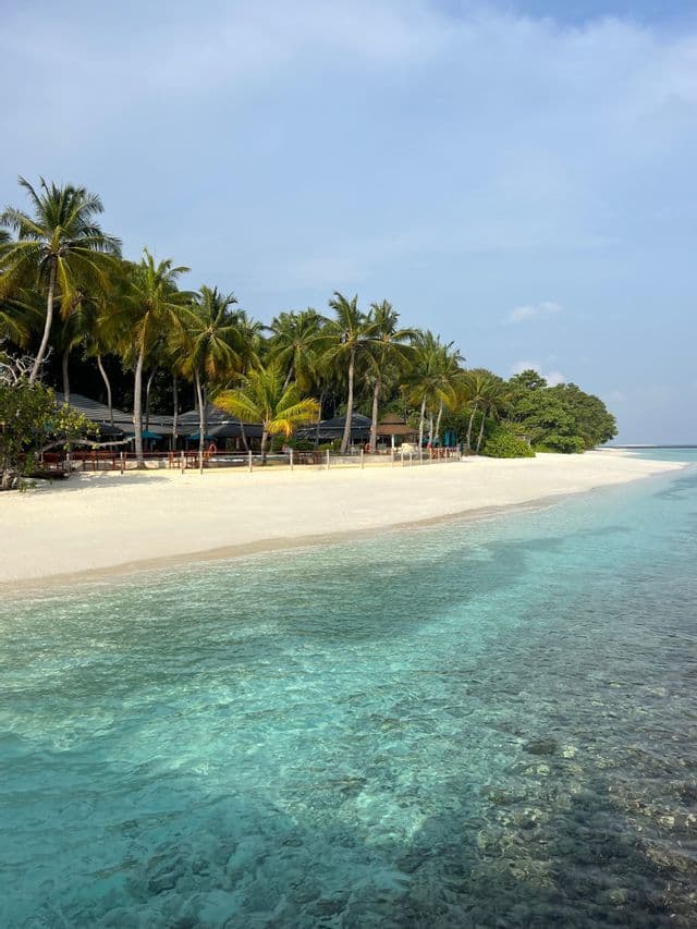 Una spiaggia di sabbia bianca con alte palme incontra le acque limpide e turchesi di un mare tropicale.