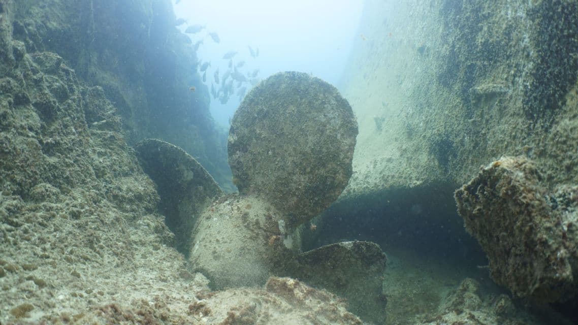 La grande elica incrostata di un relitto giace sul fondale marino mentre un banco di pesci nuota nelle acque torbide dietro di essa.