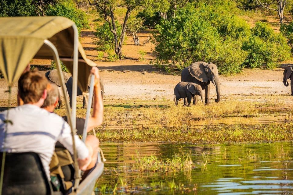 Eine WeRoad-Gruppe beobachtet von einem Safari-Boot aus einen erwachsenen und ein Baby-Elefanten am Flussufer.