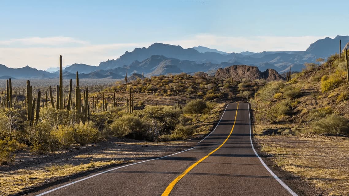 Una strada asfaltata vuota si snoda in un paesaggio desertico con cactus saguaro e montagne distanti sotto un cielo sereno.