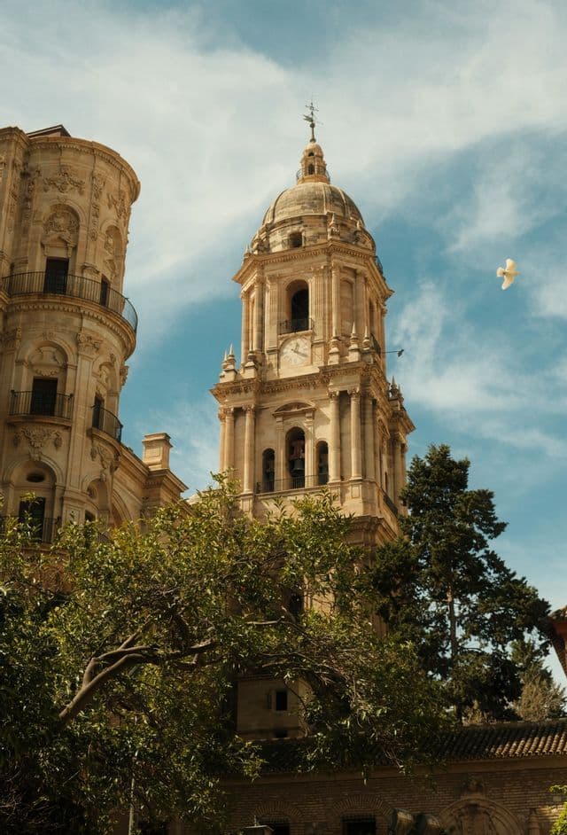 Un campanario de piedra ornamentado con un reloj se eleva sobre las copas verdes de los árboles contra un cielo azul mientras un pájaro blanco vuela.