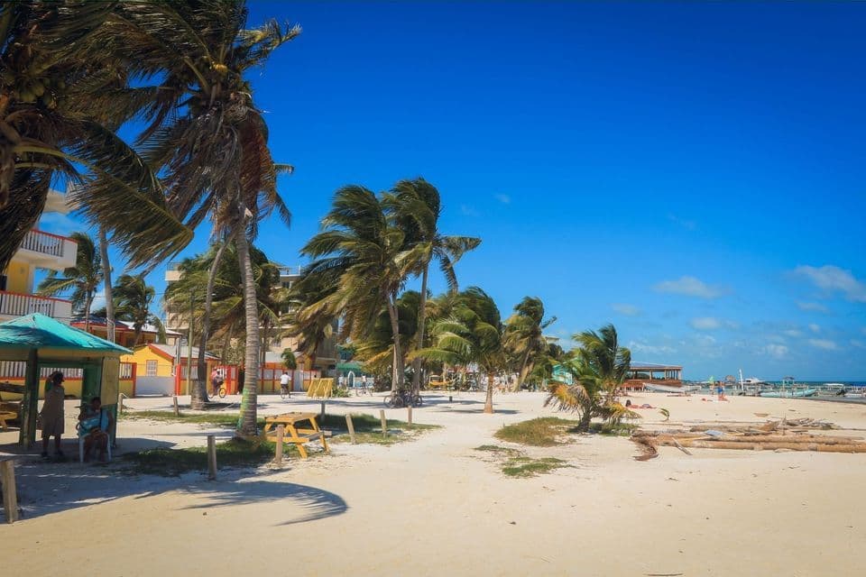 Palmen wiegen sich im Wind an einem weißen Sandstrand mit farbenfrohen Gebäuden und strahlend blauem Himmel.