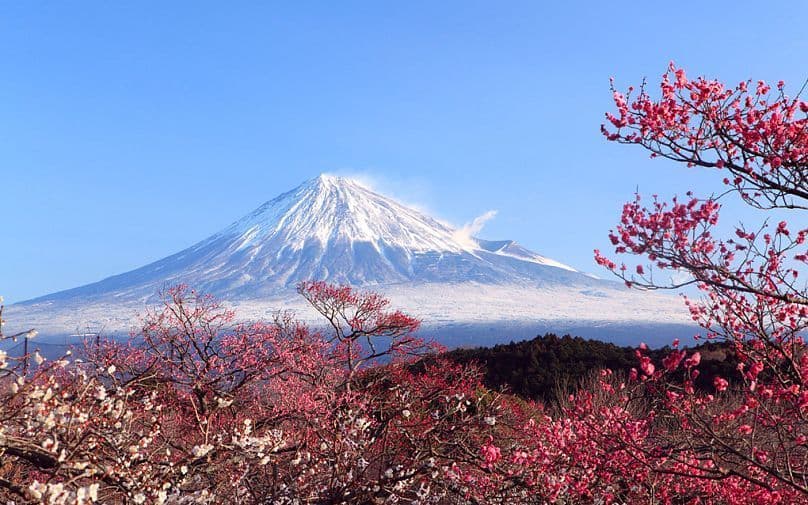 Il Monte Fuji innevato è incorniciato da fiori di ciliegio rosa e bianchi in primo piano sotto un cielo azzurro e limpido.