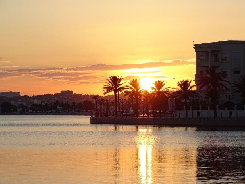 Un tramonto dorato si riflette sull'acqua, sagomando palme lungo un lungomare cittadino.