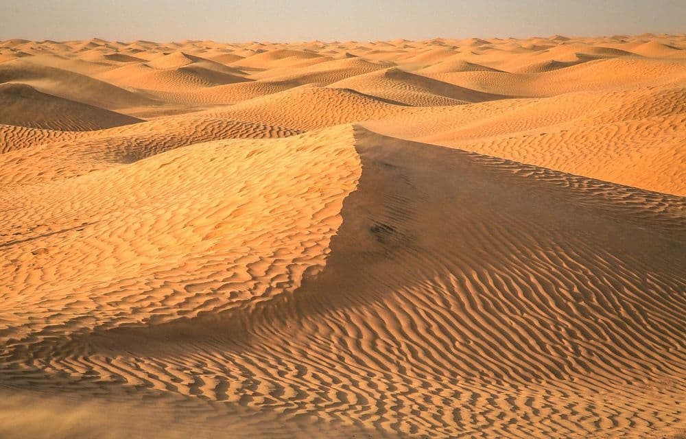 Una distesa di dune di sabbia dorata con increspature modellate dal vento si estende all'orizzonte sotto un cielo velato.