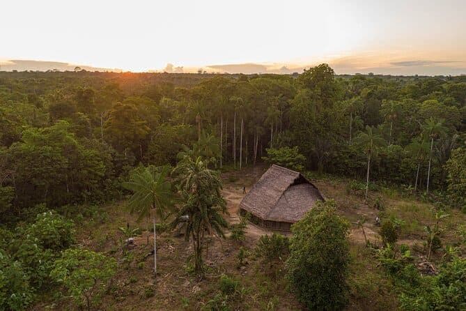 An aerial view of a solitary thatched-roof hut standing in a clearing within a vast, dense jungle at sunset.