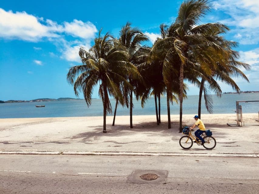 Eine Person in einem gelben Hemd fährt Fahrrad auf einer Straße neben einem Sandstrand mit hohen Palmen unter blauem Himmel.