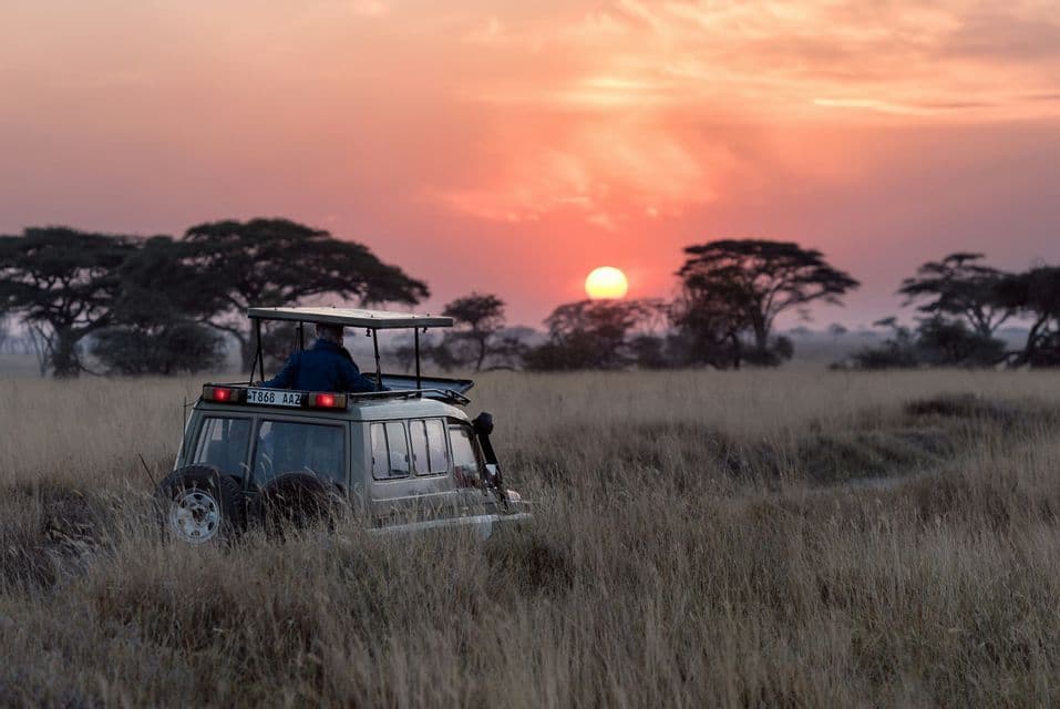 Una persona osserva da una jeep safari scoperta, ferma in una savana erbosa, durante un vivace tramonto.