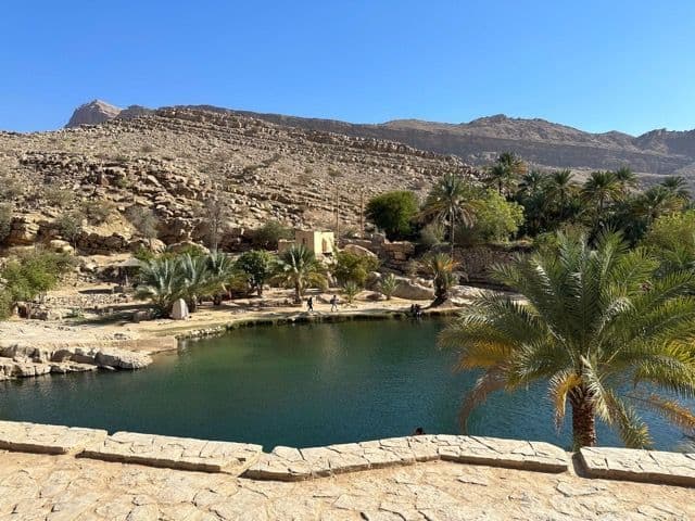 A natural pool of water at the base of rocky mountains, surrounded by palm trees under a clear blue sky.