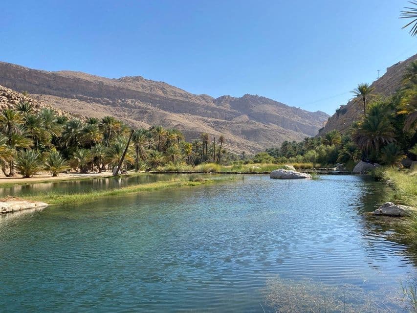 Une oasis désertique avec un plan d'eau limpide entouré de palmiers, nichée dans une vallée entre des montagnes rocheuses sous un ciel clair.