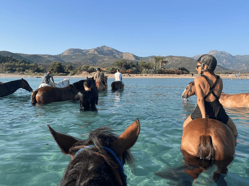 Un voyage de groupe WeRoad à cheval, pataugeant dans la mer claire et peu profonde, avec un littoral montagneux en arrière-plan.