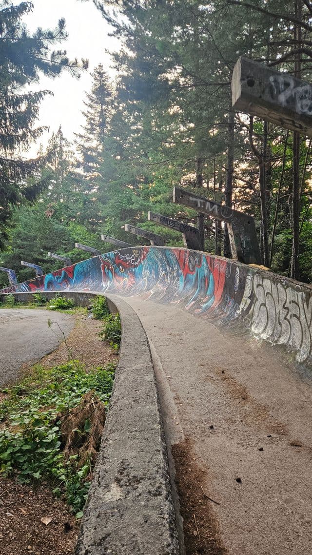 Eine verlassene Beton-Bobbahn, bedeckt mit farbenfrohen Graffitis, schlängelt sich durch einen dichten Kiefernwald.