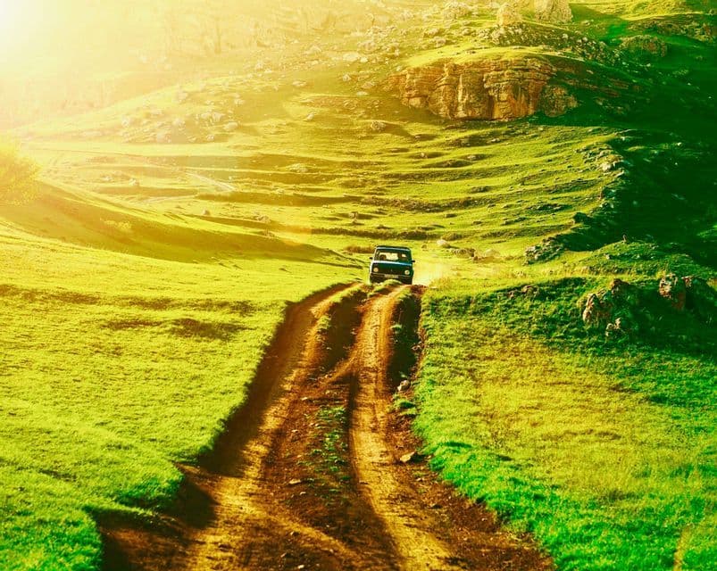 Ein Geländewagen fährt einen gewundenen Feldweg durch sanfte grüne Hügel, die in goldenes Sonnenlicht getaucht sind.