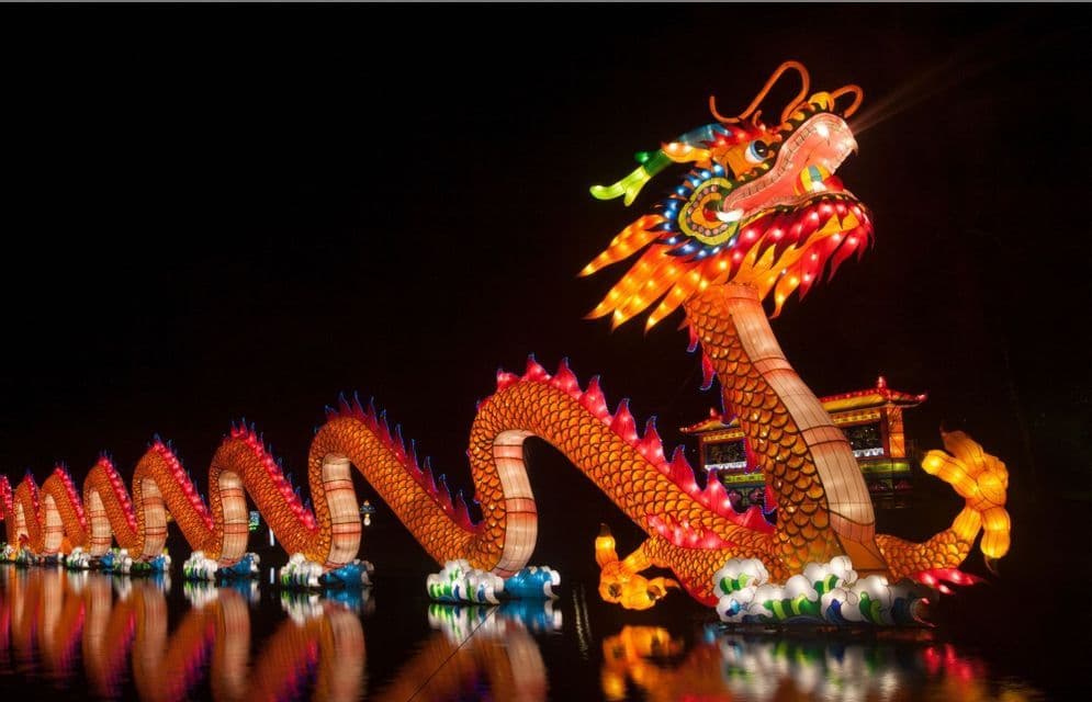Una lunga lanterna a forma di drago cinese illuminata galleggia sull'acqua di notte, con le sue luci colorate riflesse sulla superficie.